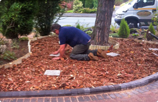 Landywood Landscaping Garden Maintenance
